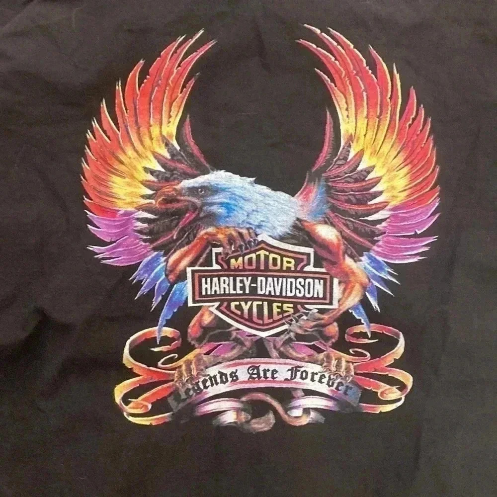 Harley davidson drawstring shirt